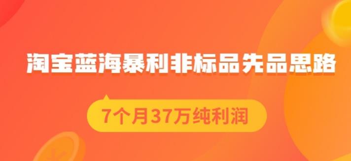 盗坤淘宝蓝海暴利非标品先品思路，7个月37万纯利润，压箱干货分享！【付费文章】-知者网