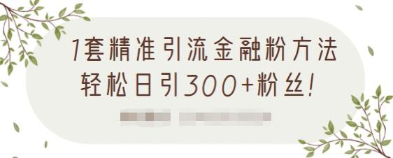 1套精准引流金融粉方法，轻松日引300 粉丝【视频课程】-知者网