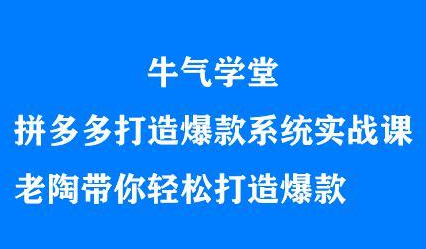 牛气学堂拼多多打造爆款系统实战课，老陶带你轻松打造爆款-知者网