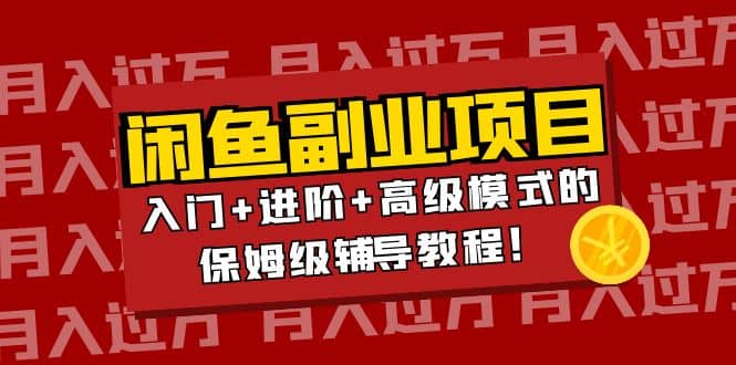 月入过万闲鱼副业项目：入门 进阶 高级模式的保姆级辅导教程-知者网