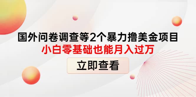 国外问卷调查等2个暴力撸美元项目，小白零基础也能月入过万-知者网